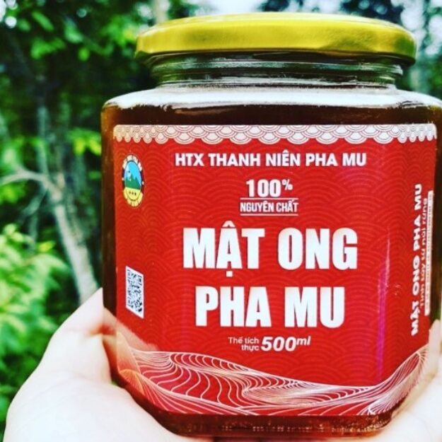 HTX Thanh Niên Pha Mu