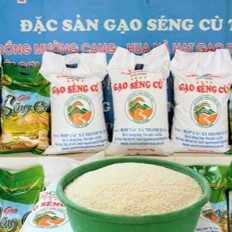 Hợp tác xã Xây dựng Thanh Xuân