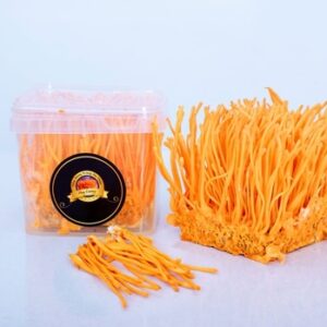đông trùng hạ thảo 100g Hữu cơ