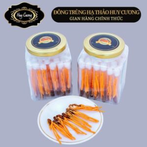 ĐÔNG TRÙNG DẠNG NHỘNG