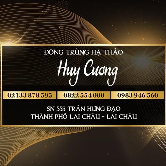 ĐÔNG TRÙNG HẠ THẢO HUY CƯƠNG