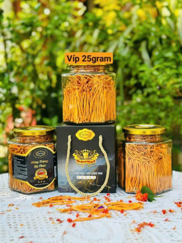 ĐÔNG TRÙNG SẤY KHÔ VIP 250G