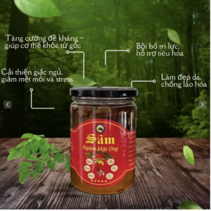 SÂM LAI CHÂU NGÂM MẬT ONG KHOÁI