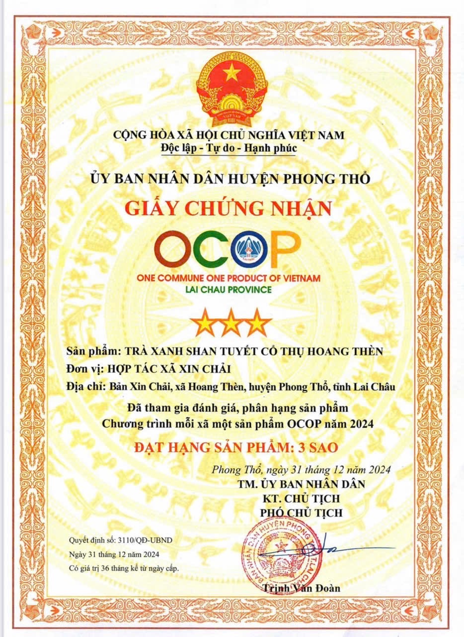 Chè Shan tuyết cổ thụ