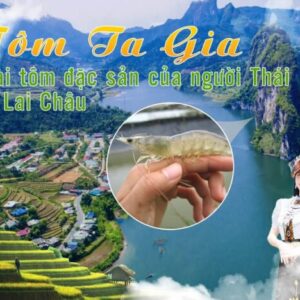 Tôm tươi Ta Gia