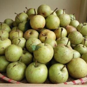 Lê Giang Ma (sản phẩm từ tháng 4-5 hàng năm