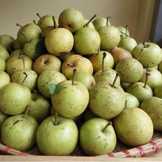 Tổ hợp tác Chăm sóc, phát triển cây lê và liên kết tiêu thụ sản phẩm quả lê xã Giang Ma